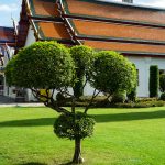 Die Tempelanlage vom Wat Arun, Bangkok, Thailand