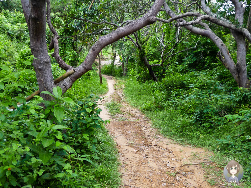 Wandern auf Koh Phi Phi Island, Thailand
