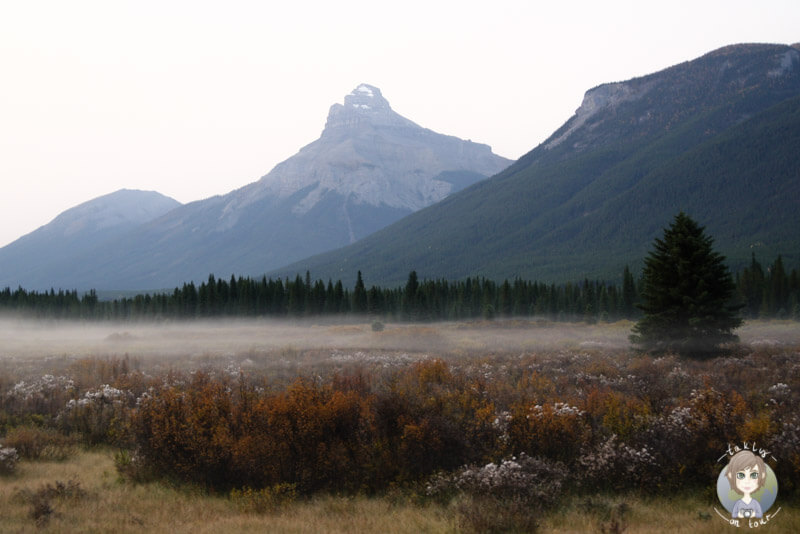 Fahrt über den Bow Valley Parkway, Kanada
