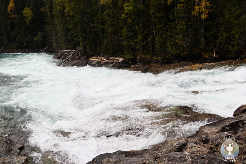 Bailey's Chute im Wells Gray Procincial Park, British Columbia