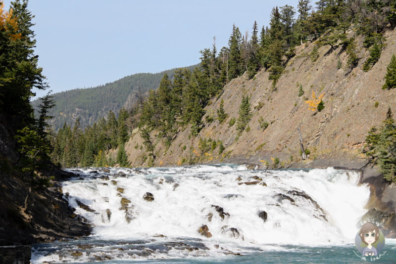 Die Bow Falls in Banff, Alberta, Kanada