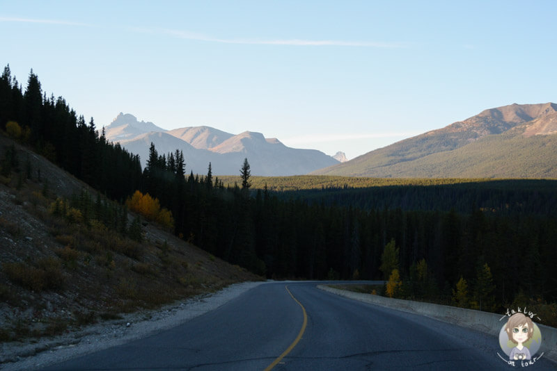 Der Icefields Parkway am Abend