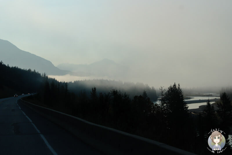 Frühnebel auf dem TCH Richtung Field