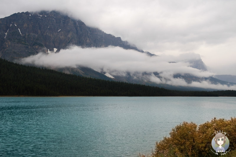 Der Waterfowl Lake, Alberta, Kanada