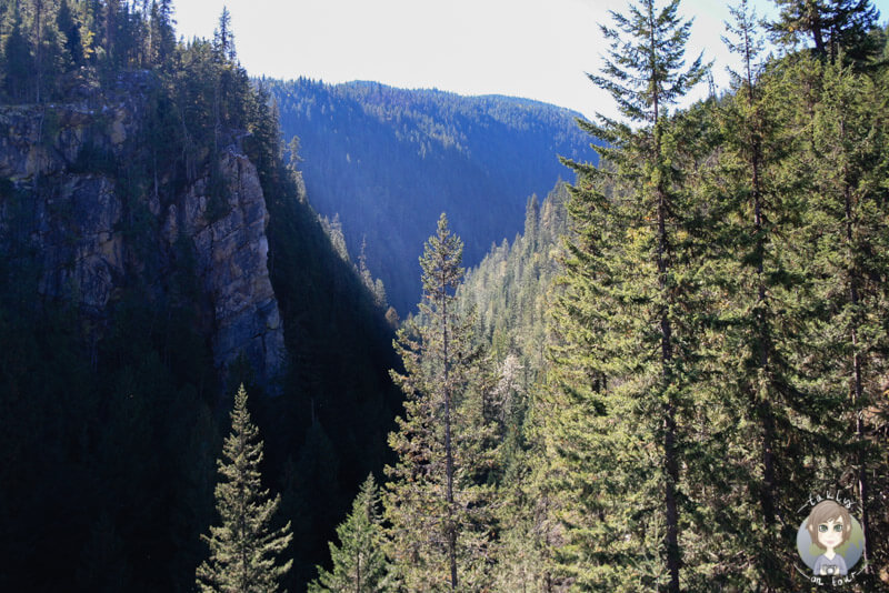 Ein Canyon auf der Strecke Richtung Revelstoke, BC, Kanada