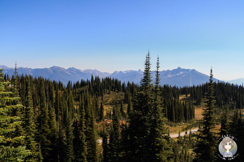 Eine fantastische Aussicht im Mount Revelstoke National Park, Kanada