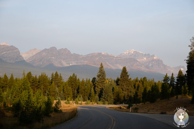 Bow Valley Parkway am Morgen, Kanada