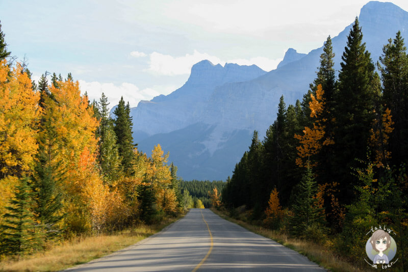 Fahrt über den Minnewanka Loop, Kanada