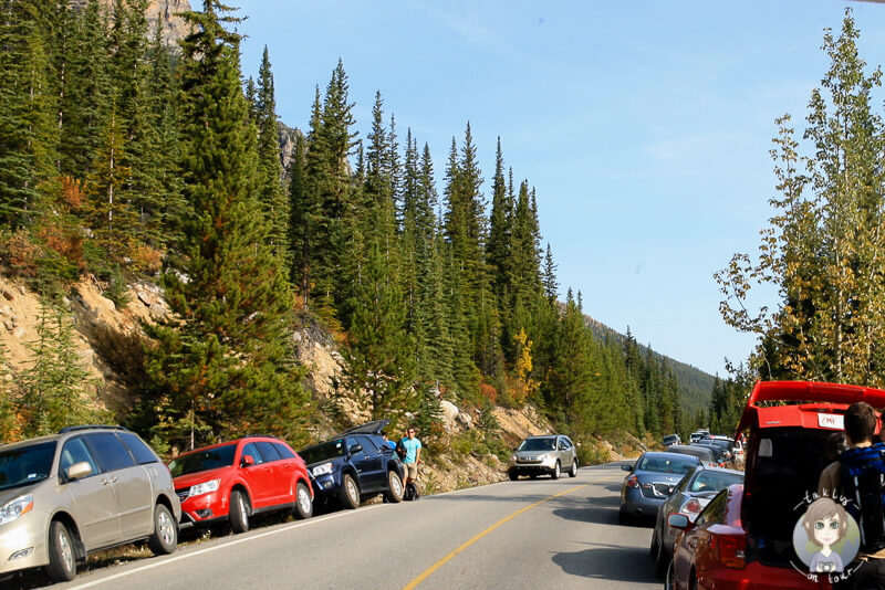 Gegen Mittag am Moraine Lake, viele Autos parken am Straßenrand