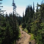 Wanderwege im Mount Revelstoke Nationalpark, Kanada