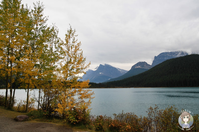 Waterfowl Lake, Icefields Parkway, Kanada