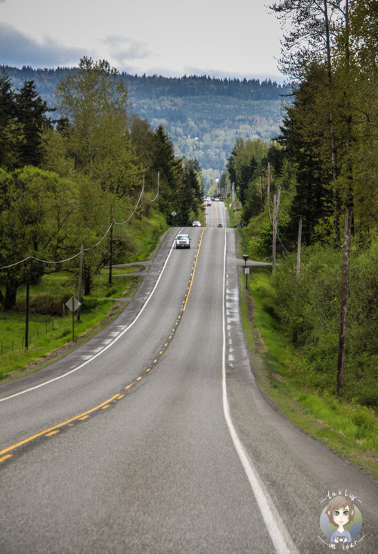 Straße im Staat Washington