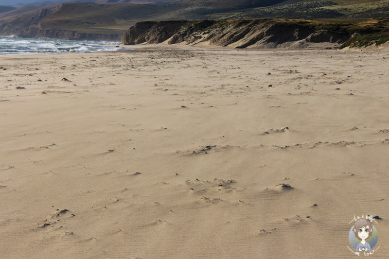 Strand vom Jalama Beach