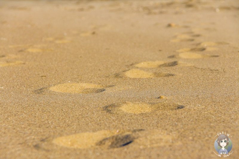 Spuren im Sand