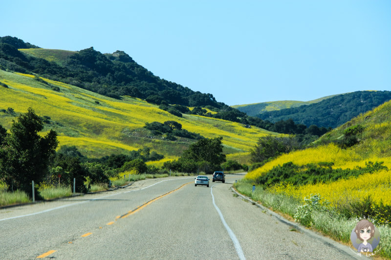 Highway 1 Richtung Lompoc