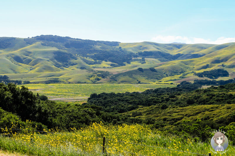 Jalama Beach Road