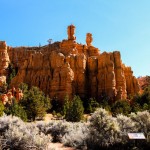 Felsformationen im Red Canyon