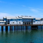 Stearns Wharf Santa Barbara