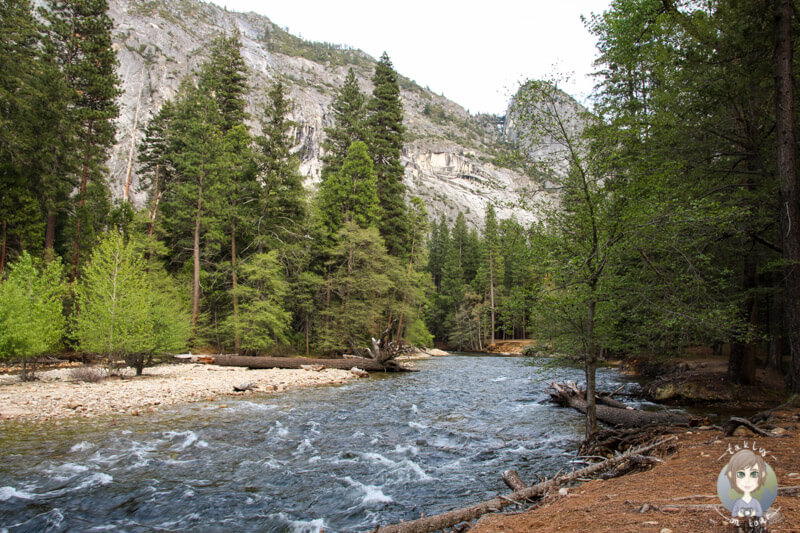 Fluss im El Capitan Yosemite Nationalpark