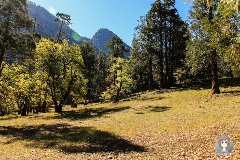 Landschaft auf der Wanderung zum Mirror Lake