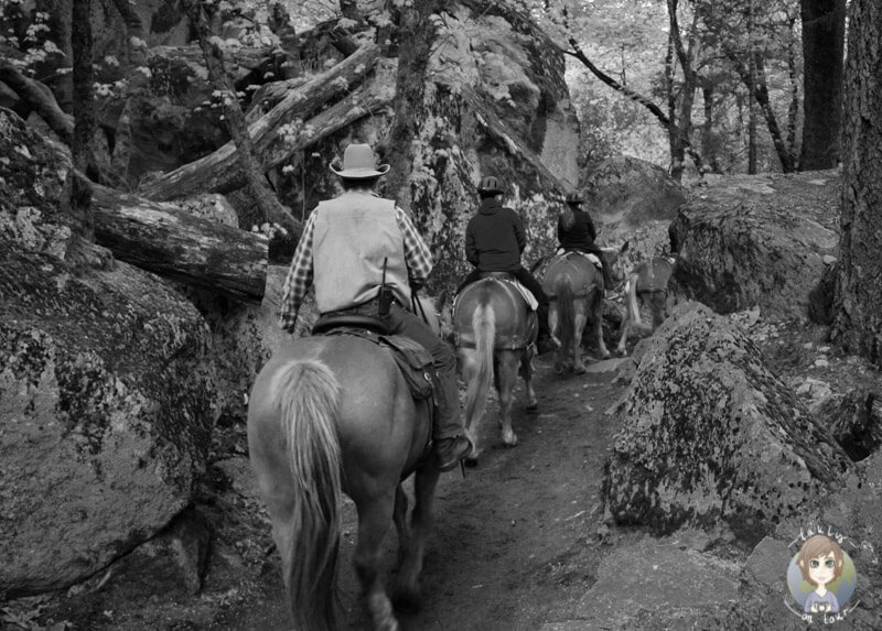 Reiten im Yosemite Nationalpark