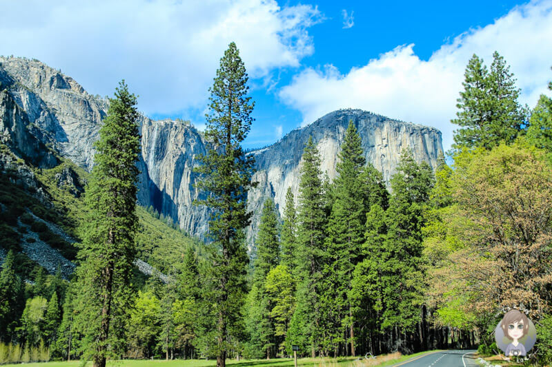 Yosemite Valley