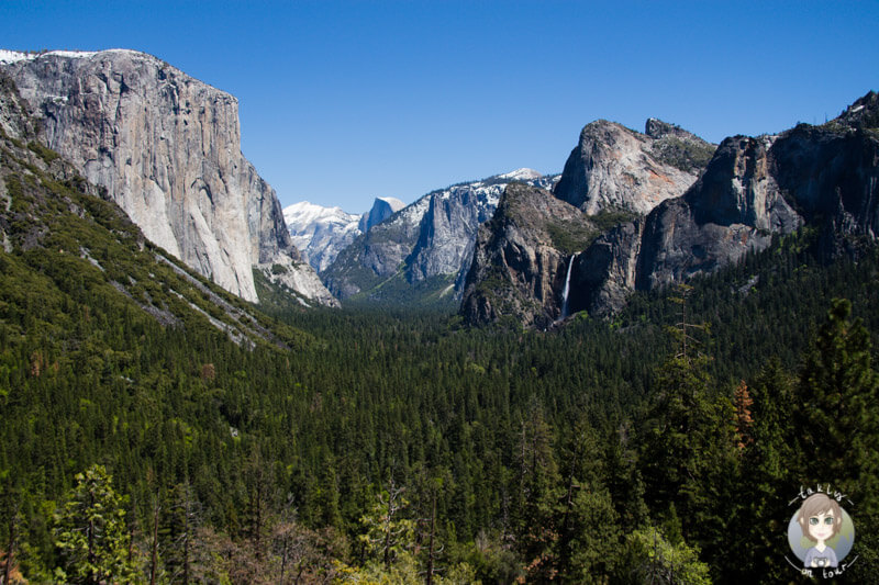 Viewpoint Yosemite Valley