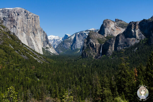 Blick auf den Yosemite National Park auf unserer Rundreise USA Westkueste