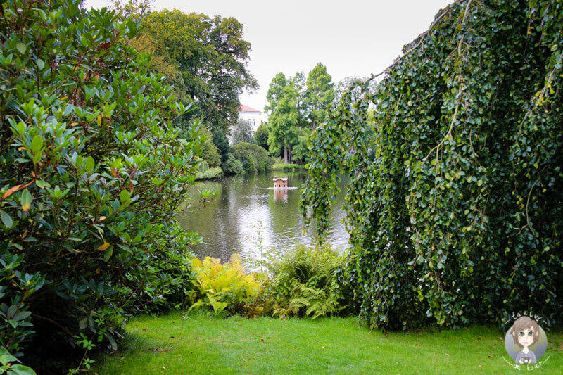 Spaziergang durch den Schlosspark Oldenburg