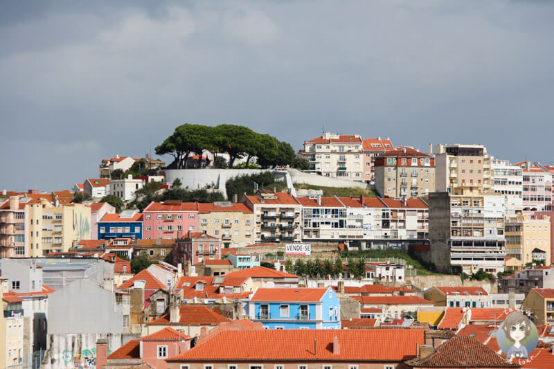 Aussicht auf Graça vom Aussichtspunkt Miradouro São Pedro de Alcântara im Bairro Alto