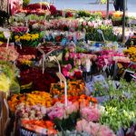Ein Blumenmarkt auf dem Groenplaats in Antwerpen