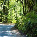 Fahrt entlang des Chuckanut-Scenic-Drives in Washington