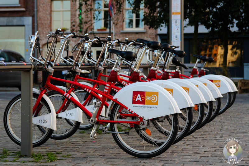 Fahrradverleih in Antwerpen, Citybike