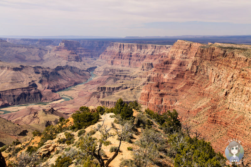 Desert Viewpoint - Grand Canyon Nationalpark