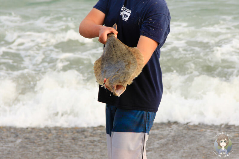 Fischfang am Doheny Beach