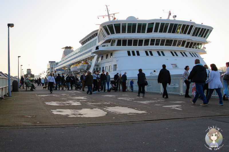 Kreuzfahrtschiff in Antwerpen