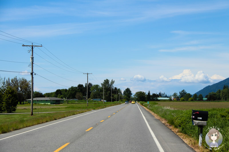 Fahrt durch Washington State