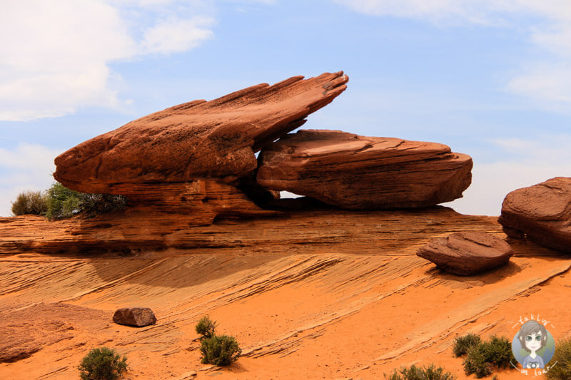 Felsen am Horseshoe Bend