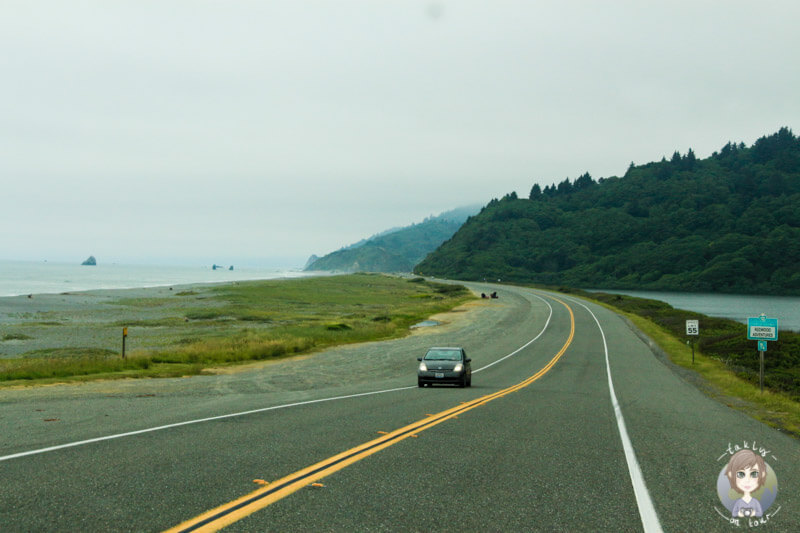 Fahrt an der Küste entlang, auf dem Highway 101