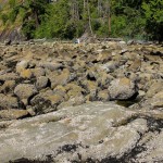 Am Beach des Larrabee State Park