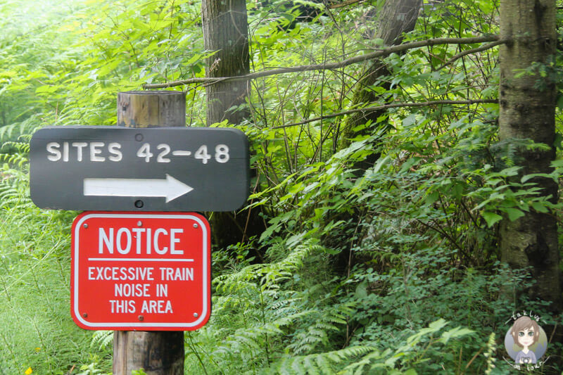 Campingplatz im Larrabee State Park