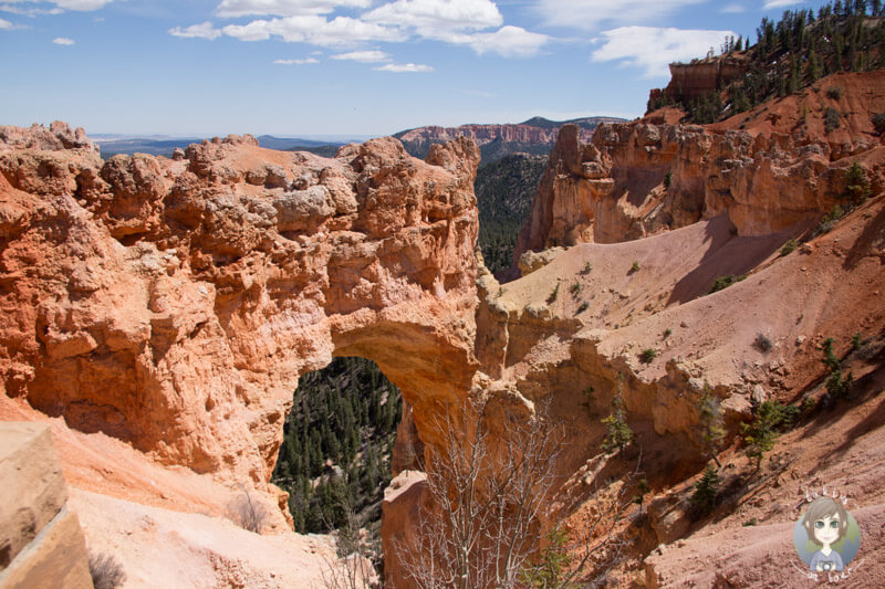 Natural Bridge Viewpoint Bryce Canyon 