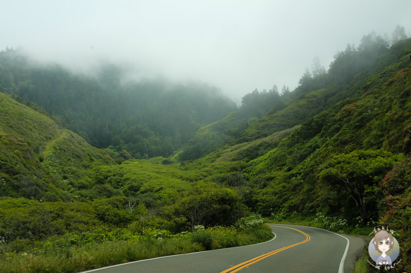 Nebel auf dem US-Highway 101