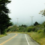 Fahrt durch Nebelschwaden im Norden von Kalifornien