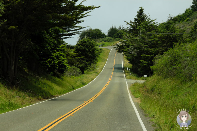 entlang des Highway 101 in Kalifornien