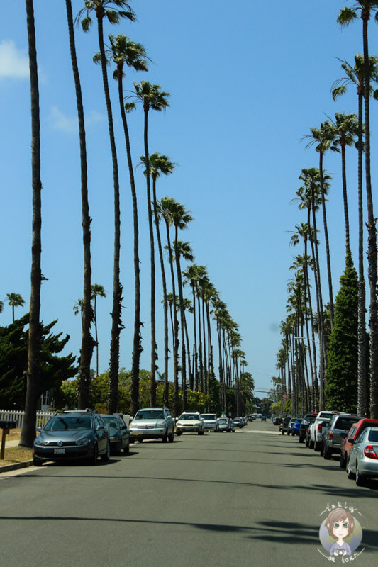 Palmenallee in Carlsbad und Oceanside