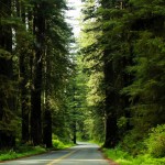 Newton B. Drury Scenic Parkway in Kalifornien