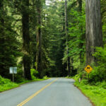 Newton B. Drury Scenic Parkway