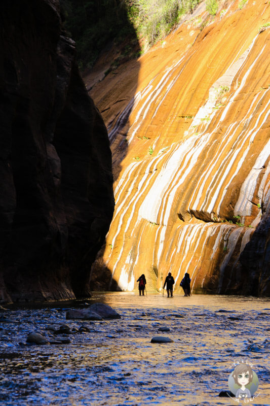 Riverside Walk im Zion Nationalpark