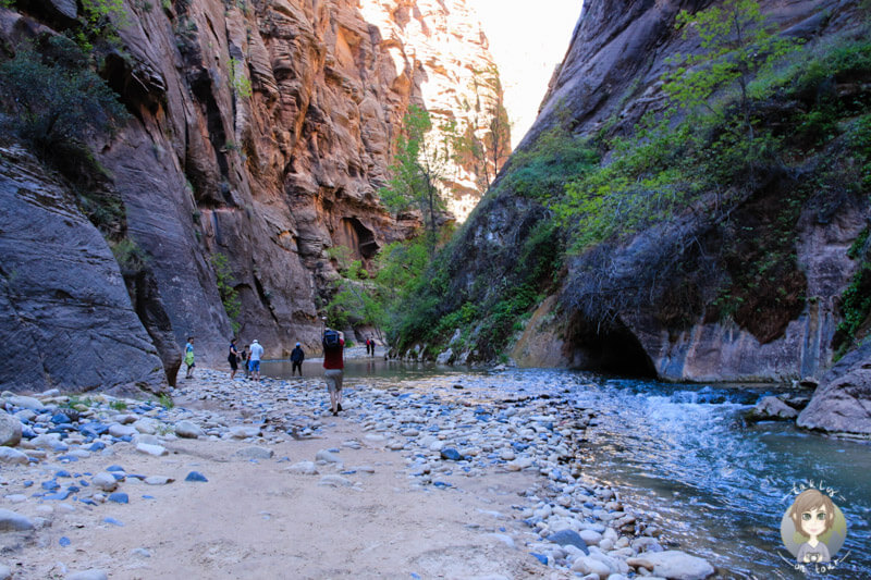 Riverside Walk im Zion National Park